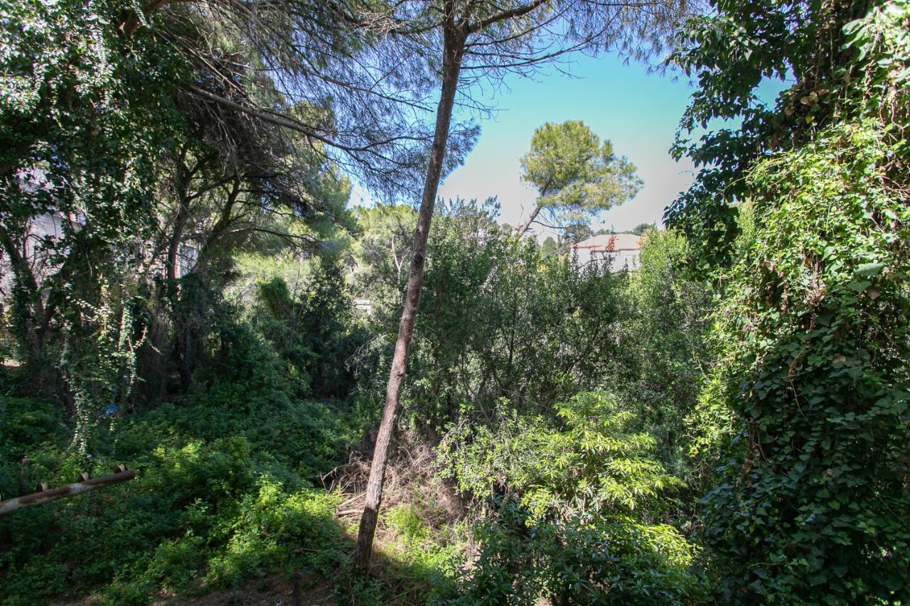 Carmel Boutique Apartments - Urban Forest Haifa Eksteriør bilde